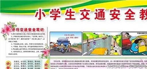 厨艺的常识读后感摘抄