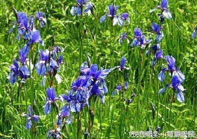 关于头破血流的语句