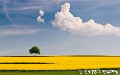 描写无理取闹的语句摘抄