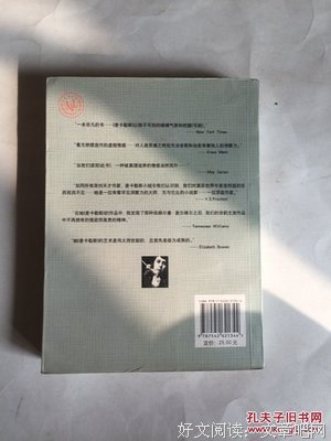 心是孤独的猎手读后感100字