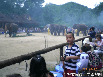 《一人军团》读后感100字