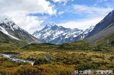 召唤读后感1000字