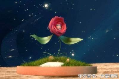 《13朵玫瑰》经典观后感有感