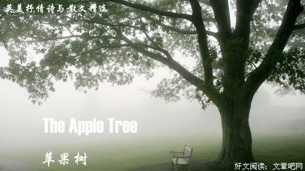 国王与抒情诗读后感精选