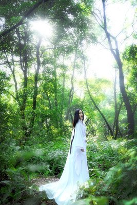 古风集句子