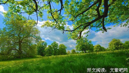 好听的句子