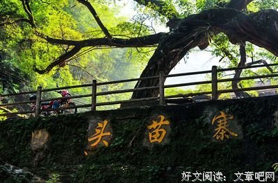夏虫语冰