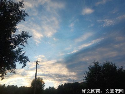  南栀倾寒 、句子