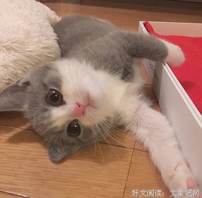 小七句子大全