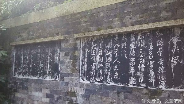 最新的《哀伤的墙》名句欣赏