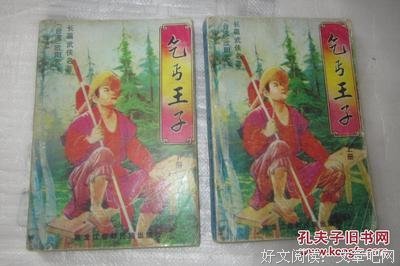 《乞丐王子》经典观后感1000字