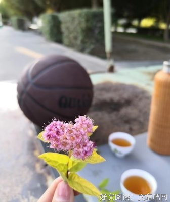 《认真地年轻，优雅地老去：杨绛传》读后感锦集