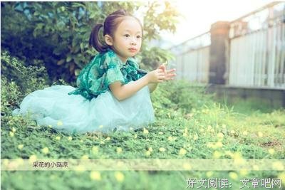 小丑之花读后感100字