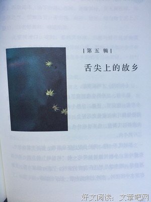请原谅生活对你的所有刁难读后感精选