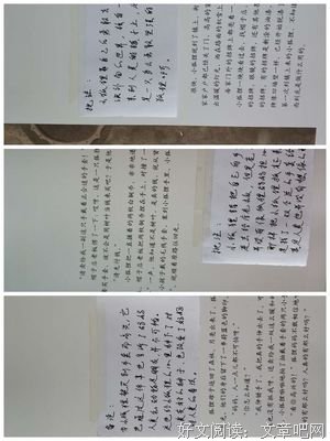 《戴上手套擦泪》读后感精选