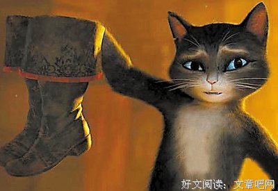 猫猫天堂经典读后感有感