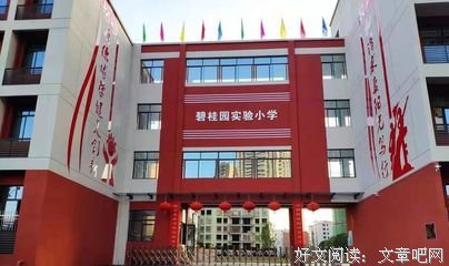 《汉字文化的魅力》读后感摘抄