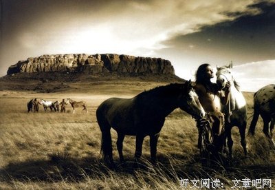 世界文明孤独史的读后感大全