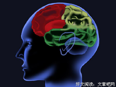 《记忆错觉》读后感精选