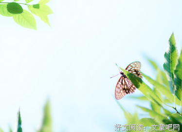 描写沉默不语的经典句子