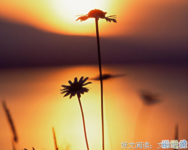 译文采撷的句子