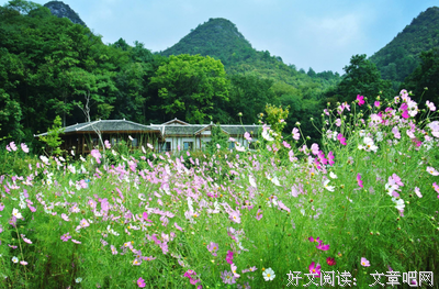 《 蝶恋花 ╮》的句子