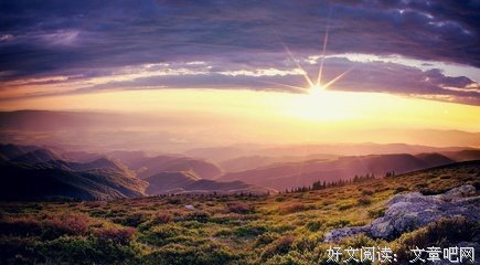 安意如经典的句子