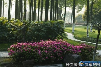 关于不好才有黑的优美句子