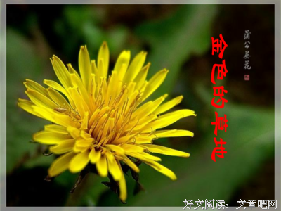 乐趣好词好句