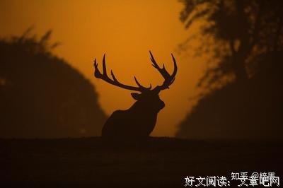 城。的句子