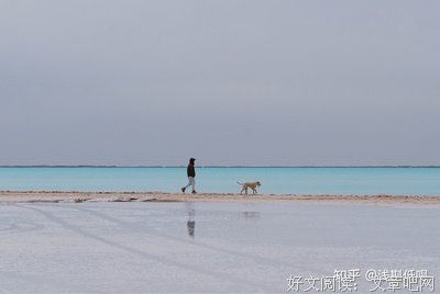 关于追梦者。的优美句子