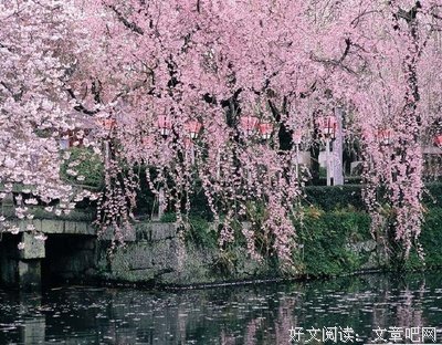 描寫经典名句
