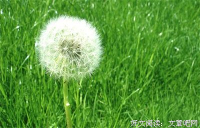 你明白的优美句子