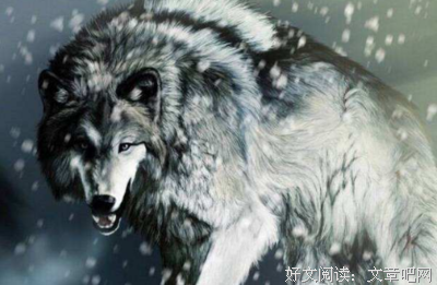 有关地家犬奇兵的句子
