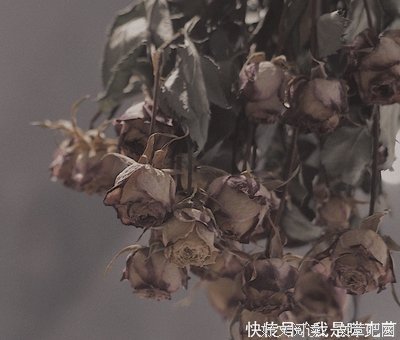 孤独的句子