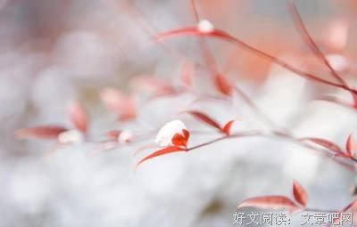 然成第有和十的句子