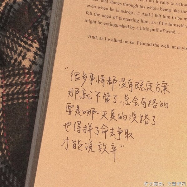 欣经典的句子