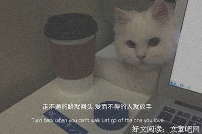关于忧伤的一生的句子