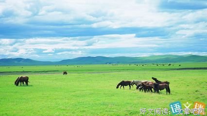 生她风只的优美句子