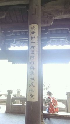 最全的无措仓惶名言