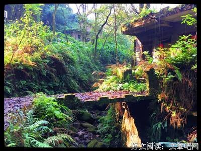 《遗失的世界》经典读后感有感