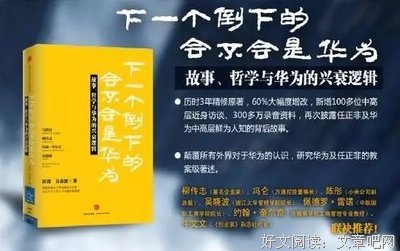 《任正非的资本》的读后感大全