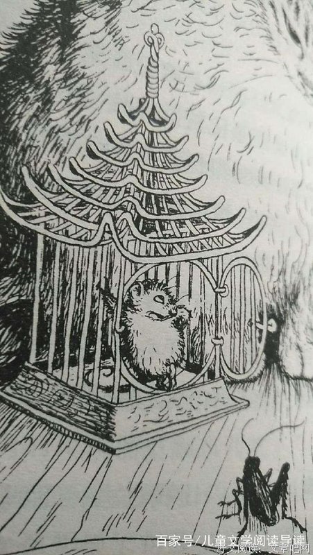 《听说你喜欢我》的读后感大全