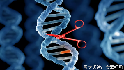 基因魔剪读后感精选