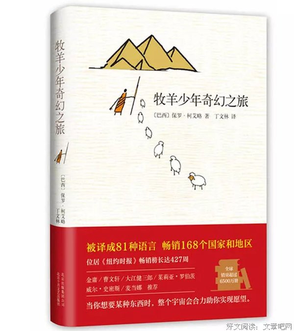 万物起源读后感精选