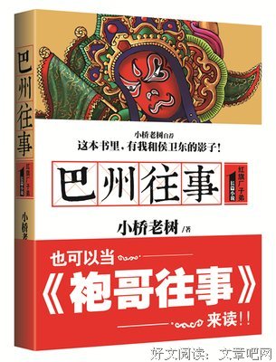 巴州往事3：选调生读后感100字
