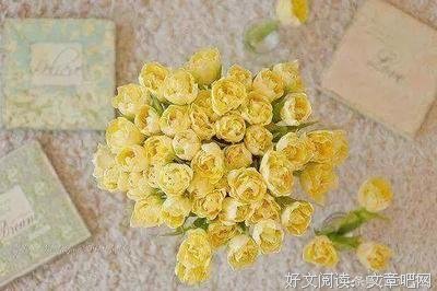 问心无愧的语句摘抄_关于问心无愧的语句