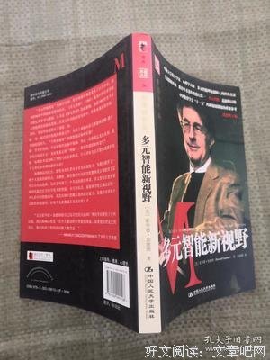 《多元智能新视野（纪念版）》经典读后感有感