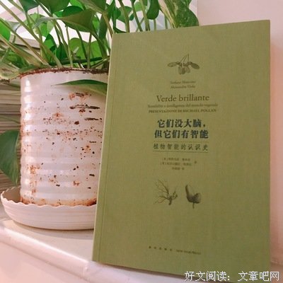 它们没大脑，但它们有智能读后感锦集