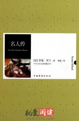 《米开朗琪罗与教皇的天花板》读后感100字